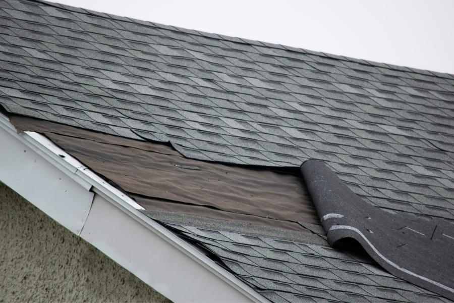 architectural shingles Replacement